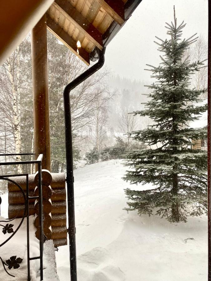 Chalet Four Seasons Villa Tatariv Eksteriør billede