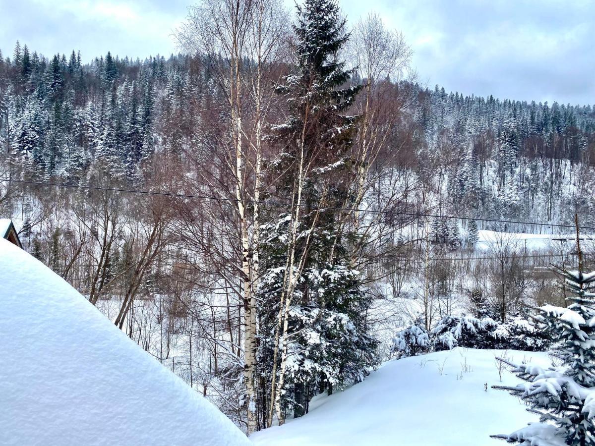 Chalet Four Seasons Villa Tatariv Eksteriør billede